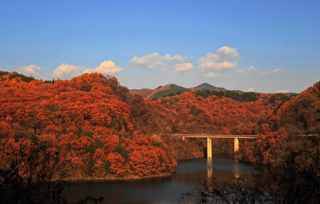 Photo wallpaper autumn, forest, the sky, mountains, bridge, river