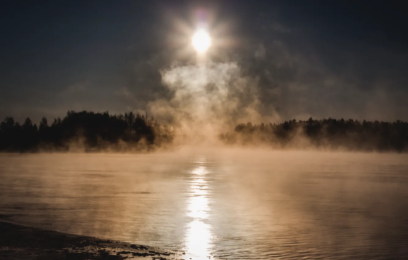 Photo wallpaper cold, forest, the sun, fog, lake