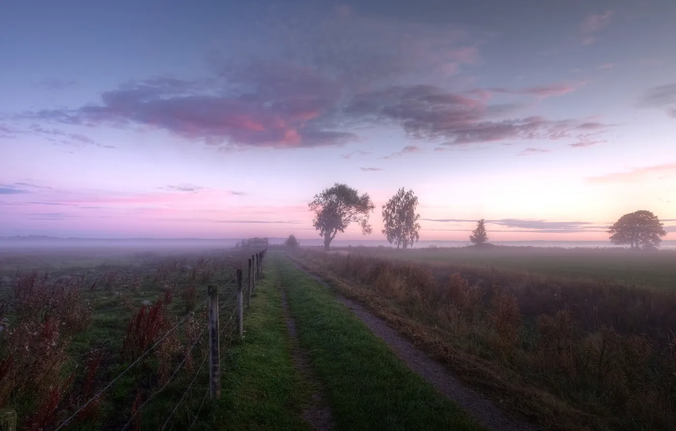 Photo wallpaper field, the fence, morning