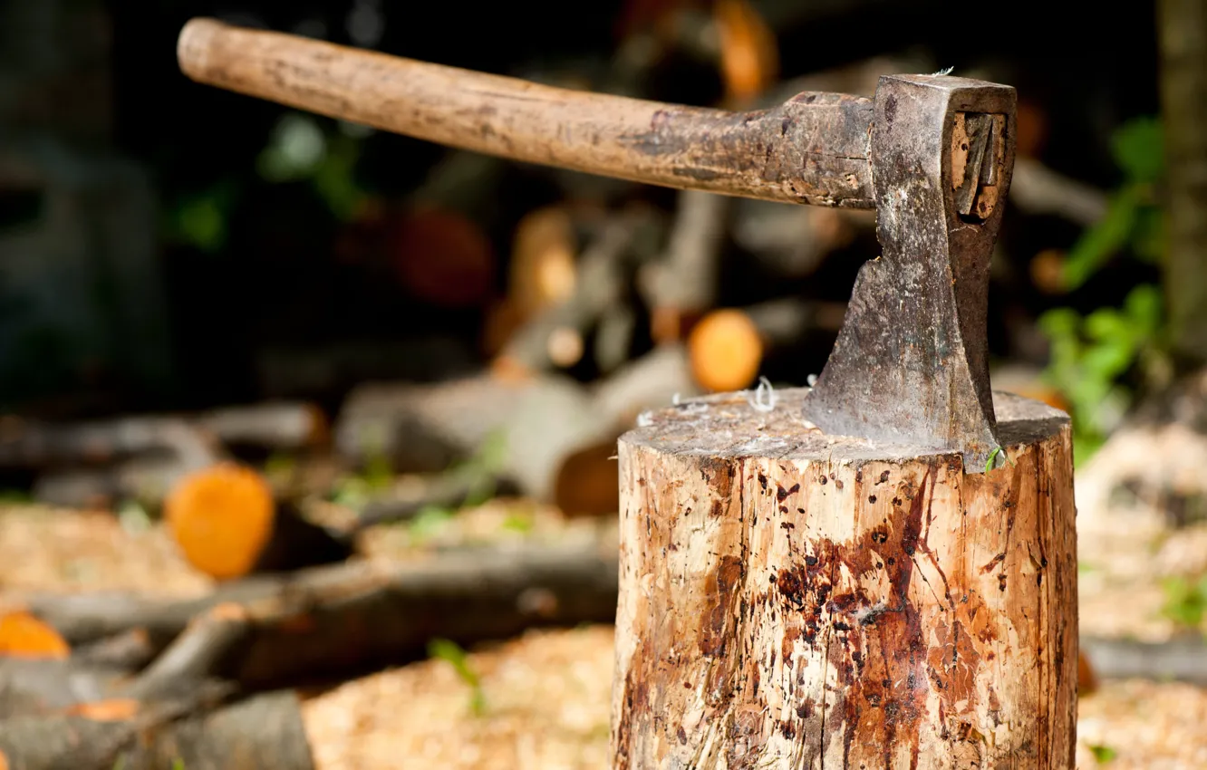 Photo wallpaper axe, metal, wood, trunk