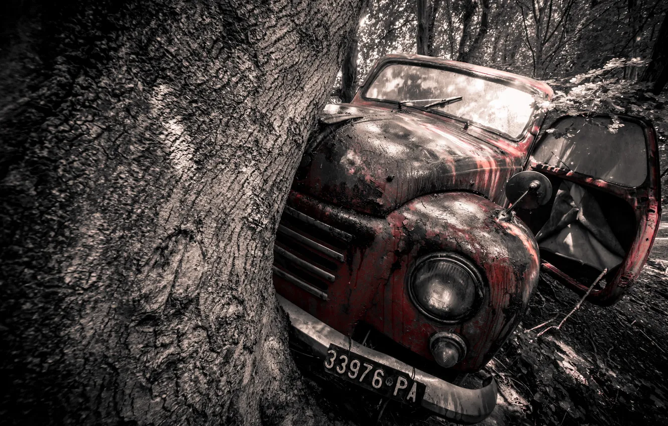 Photo wallpaper machine, background, scrap