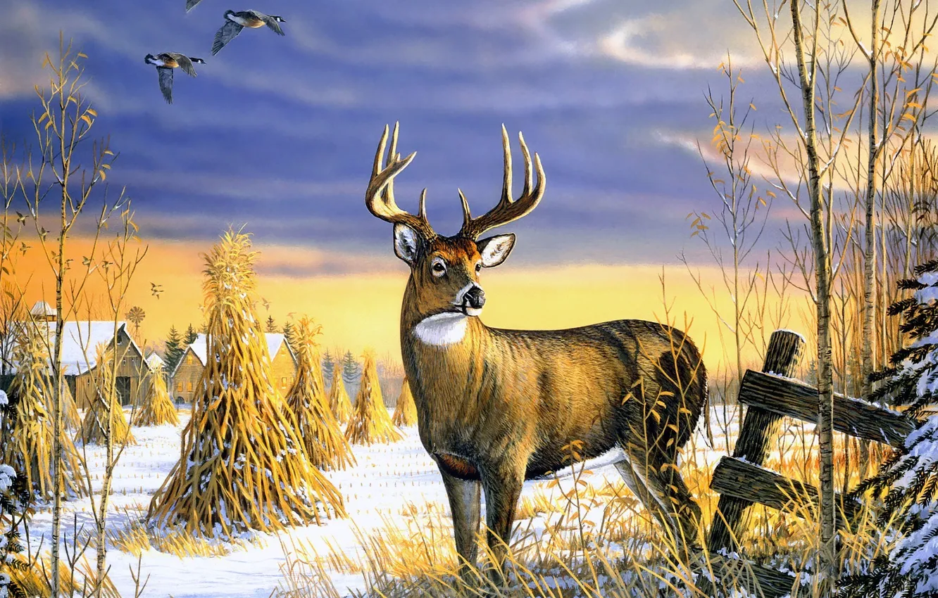 Photo wallpaper animals, snow, overcast, duck, home, deer, village, hay