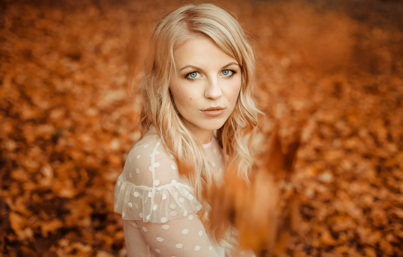 Photo wallpaper look, face, hair, blonde, bokeh