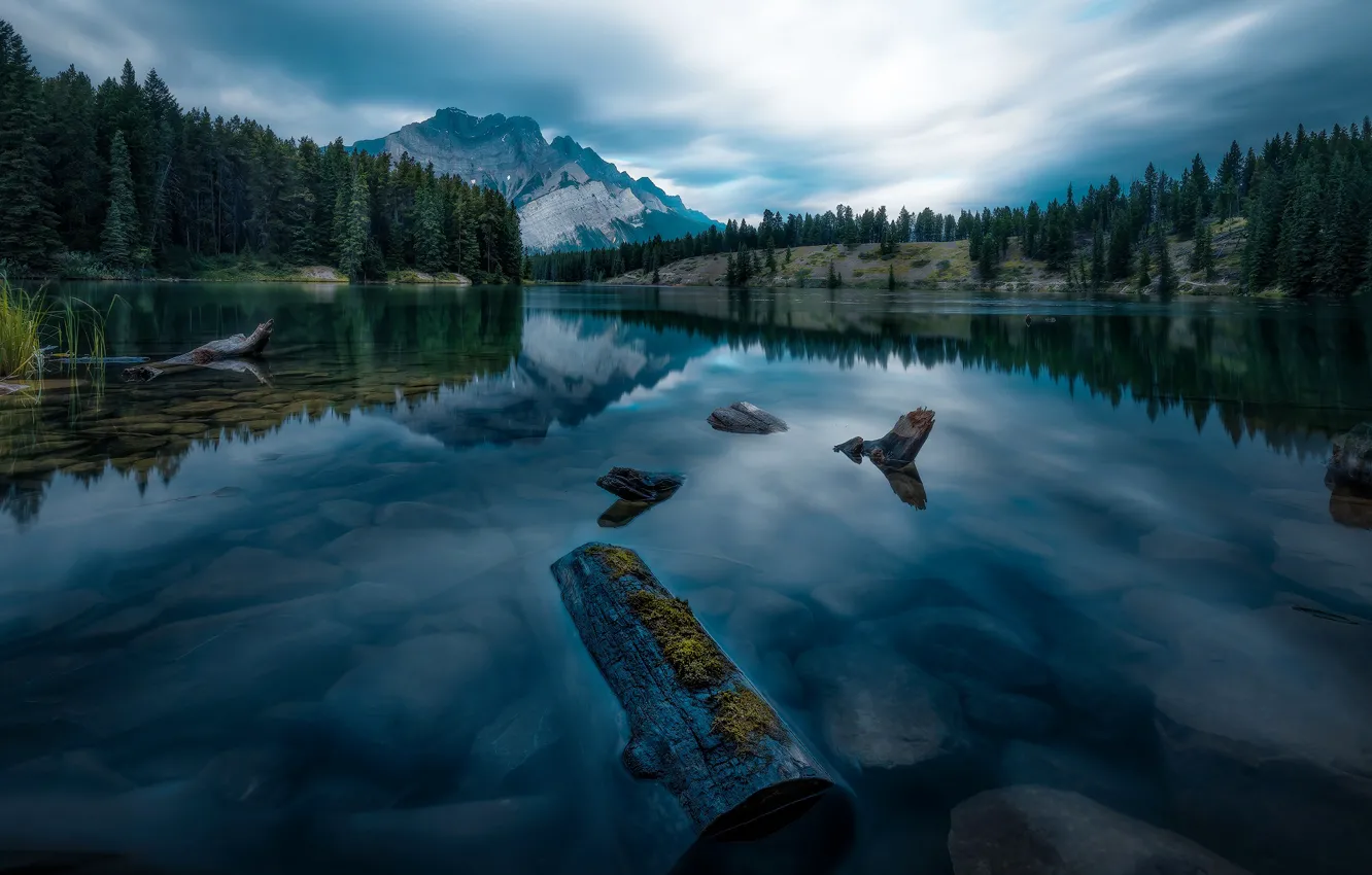 Photo wallpaper forest, the sky, lake, reflection, Canada, Jasper National Park, Malignant