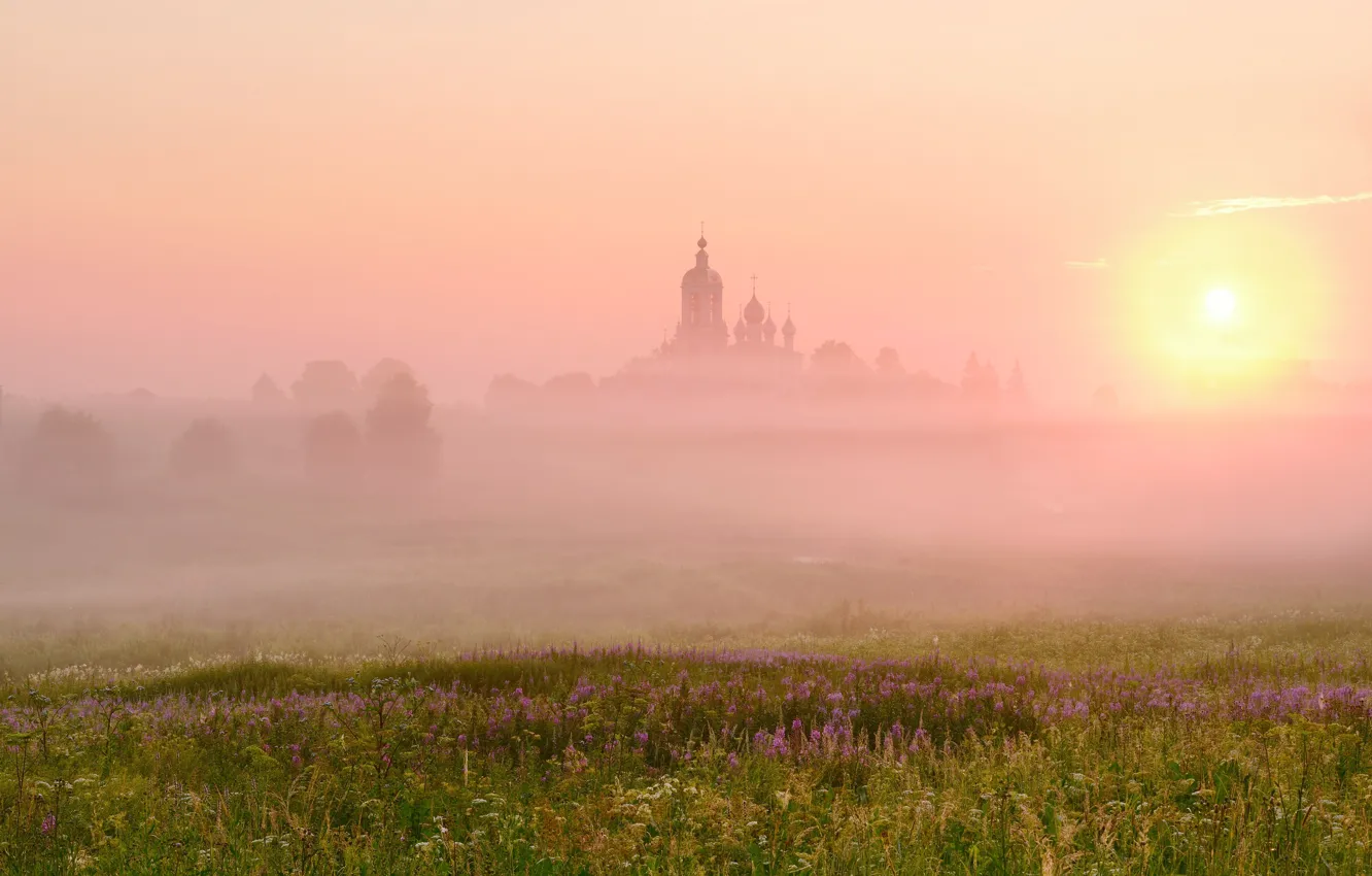 Photo wallpaper field, summer, the sky, the sun, trees, flowers, fog, pink