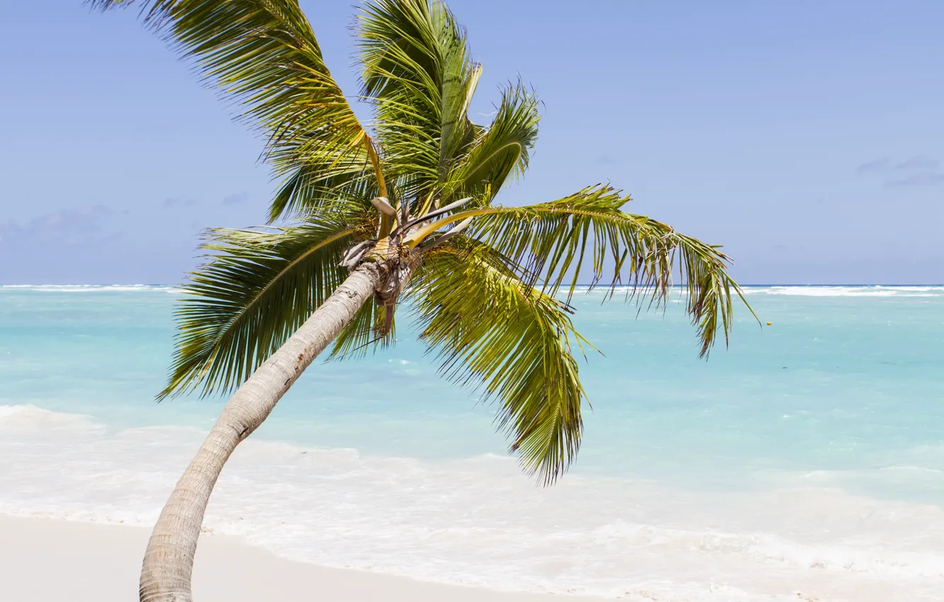 Photo wallpaper sand, sea, beach, summer, the sky, the sun, palm trees, shore