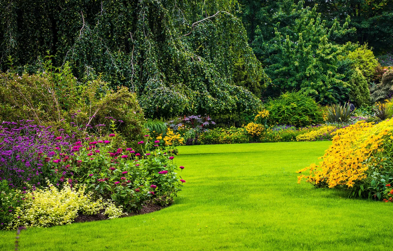Photo wallpaper greens, grass, trees, flowers, Park, lawn, Canada, Vancouver
