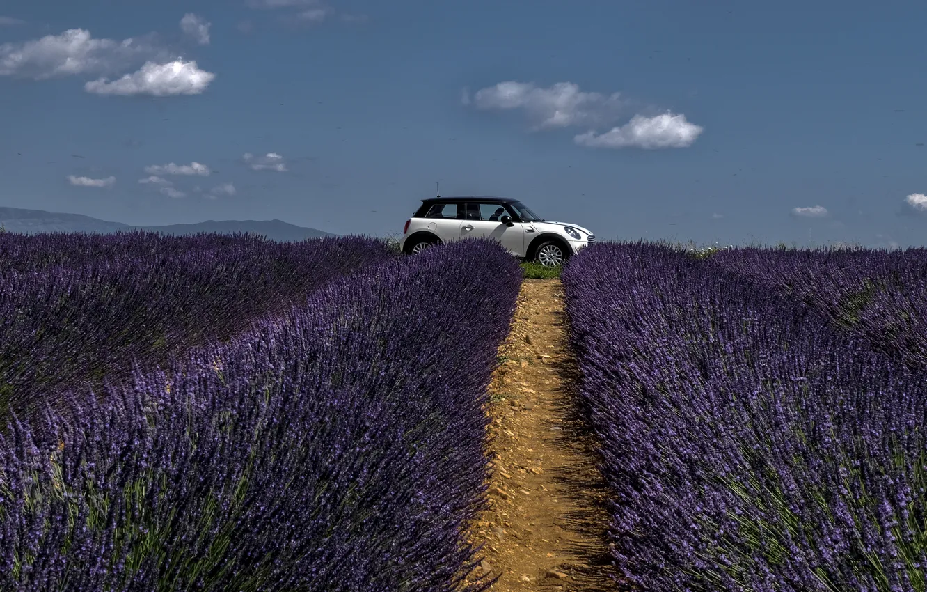 Photo wallpaper machine, summer, clouds, flowers, blue, car, path, lavender