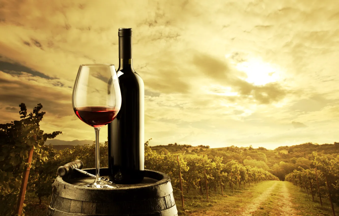 Photo wallpaper wine, red, glass, bottle, barrel, corkscrew, the vineyards