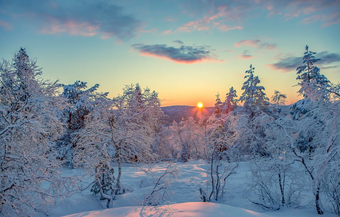 Photo wallpaper winter, snow, dawn, morning, frost