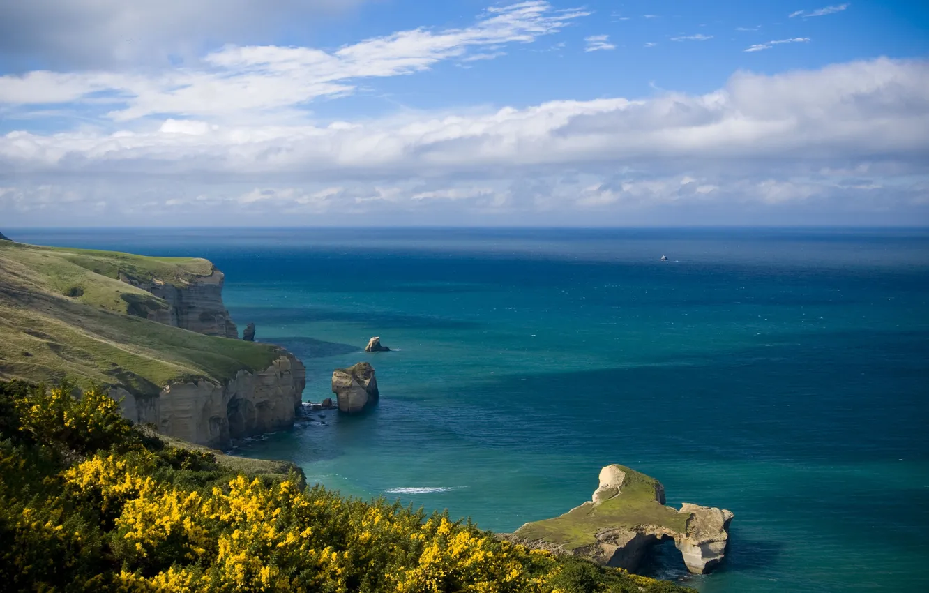Photo wallpaper sea, the sky, grass, water, clouds, landscape, flowers, nature