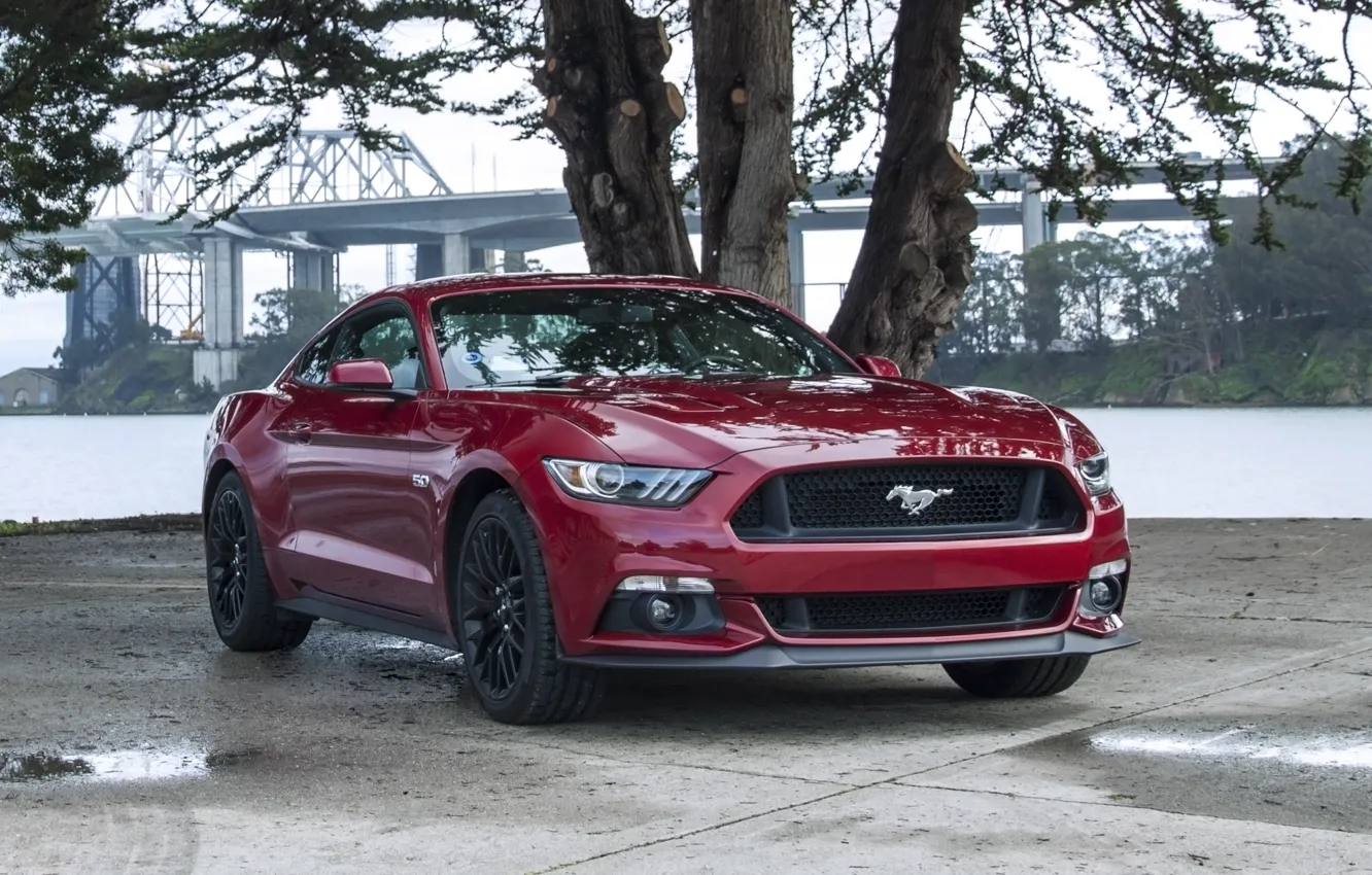 Photo wallpaper mustang, red, ford, 5.0, other