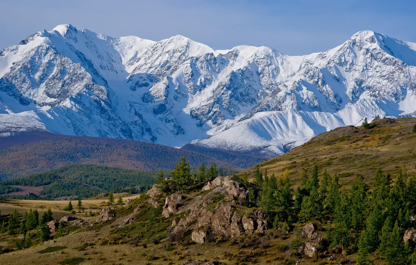 Photo wallpaper forest, the sky, snow, mountains, stones, rocks, tops, ate