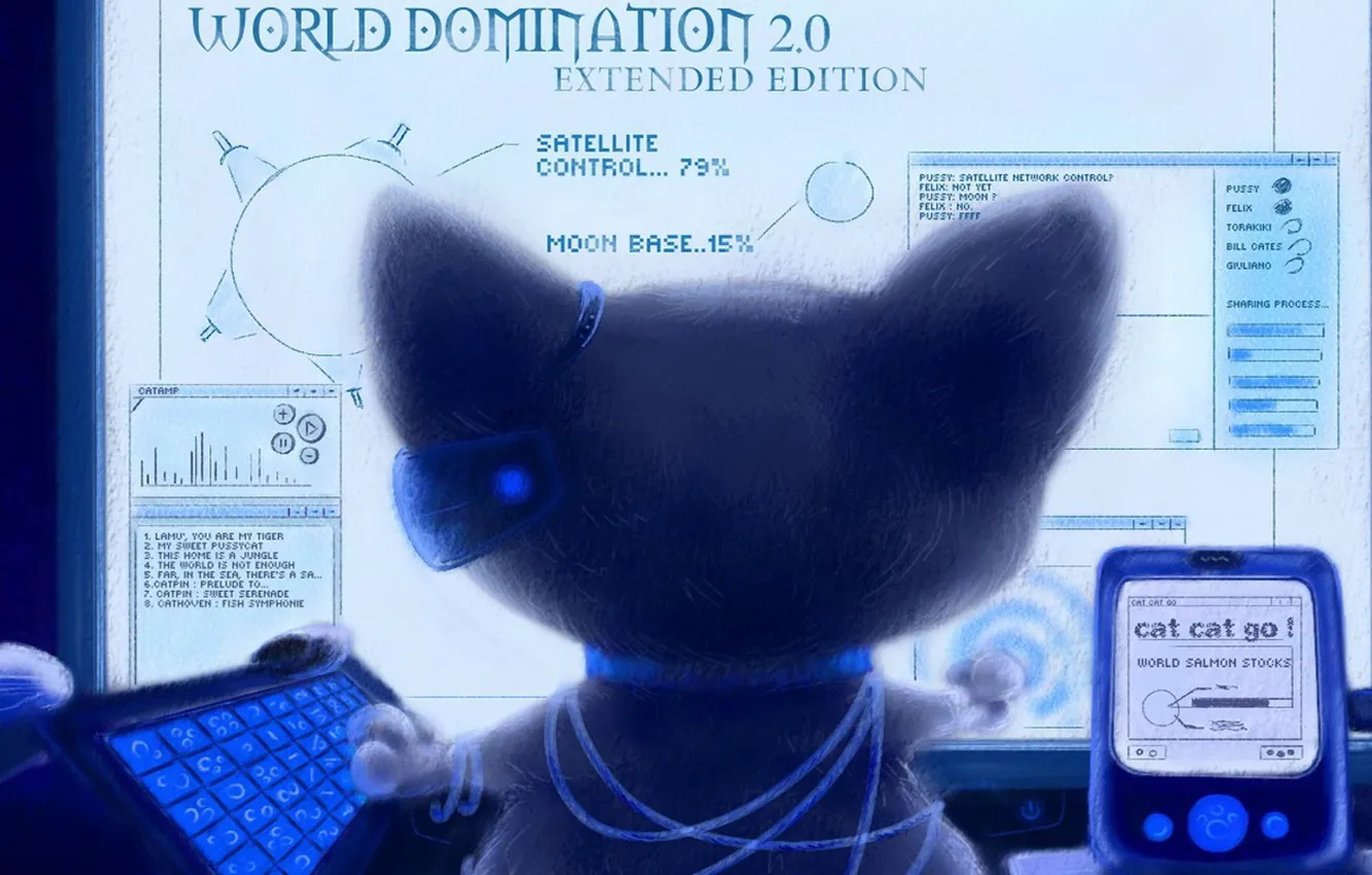 Photo wallpaper cat, back, scheme, keyboard, monitor, command center