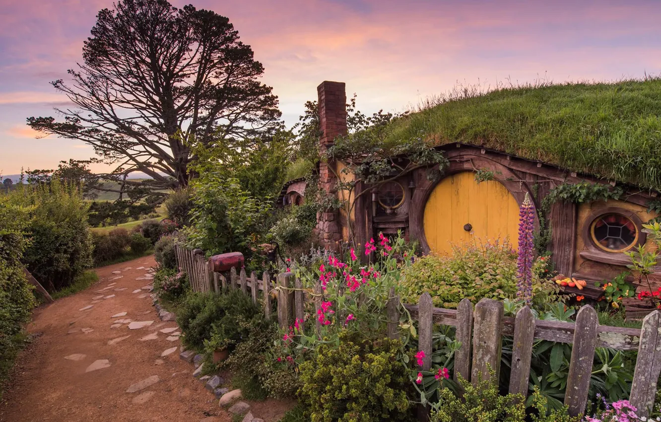 Photo wallpaper tree, the fence, the evening, Nora, New Zealand, The Lord of the rings, Hobbiton