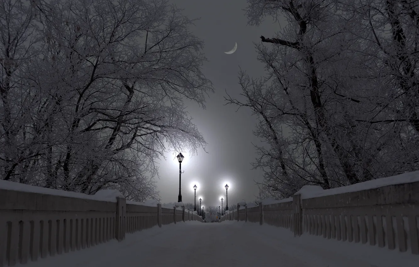Photo wallpaper winter, snow, bridge, fog, Park, a month, The moon, lantern
