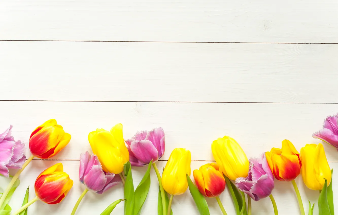 Photo wallpaper flowers, spring, colorful, tulips, fresh, wood, flowers, beautiful