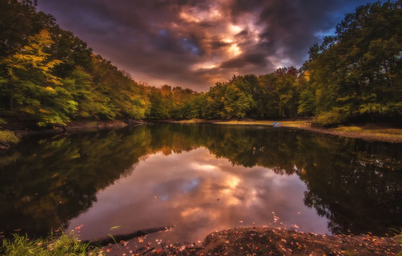 Photo wallpaper autumn, forest, sunset, treatment, pond