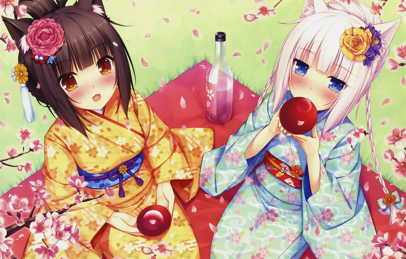 Photo wallpaper look, girl, joy, Sakura, drink, neko, yukata, ears