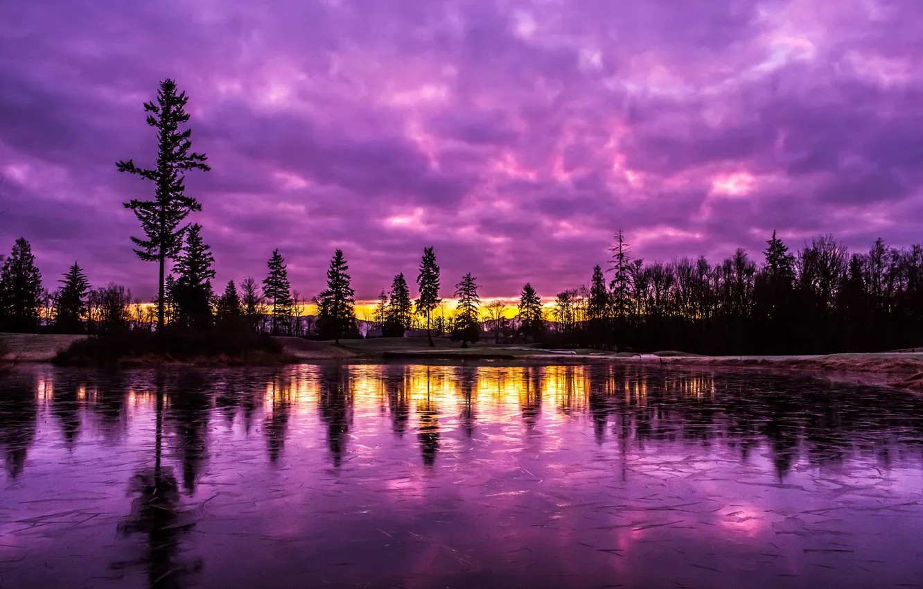 Photo wallpaper the sky, trees, landscape, sunset