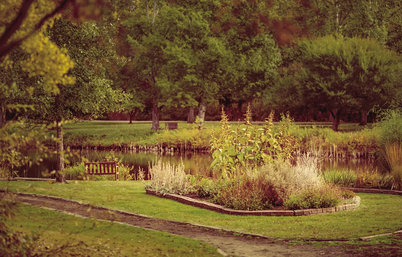 Photo wallpaper summer, grass, plant, garden greens