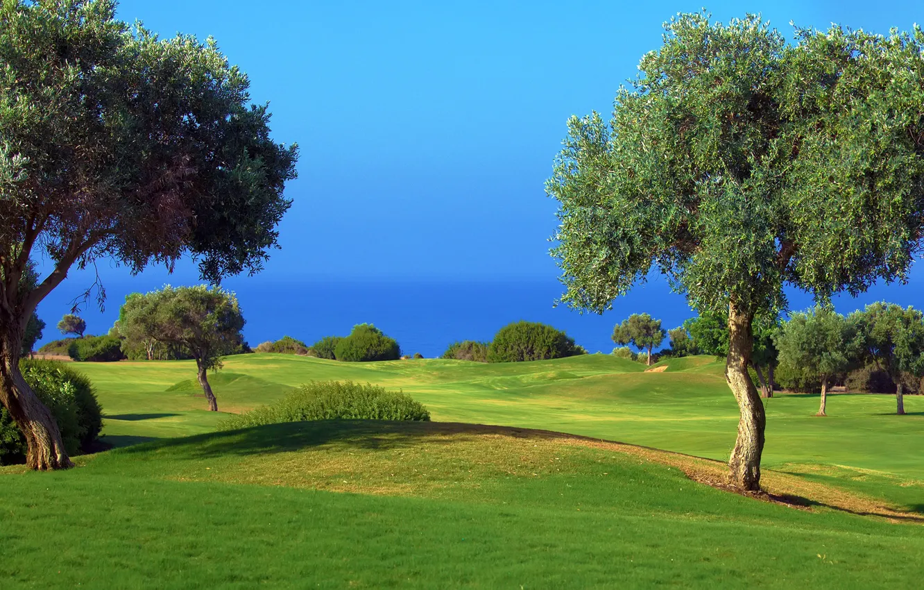 Photo wallpaper sea, greens, field, summer, the sky, grass, the sun, trees