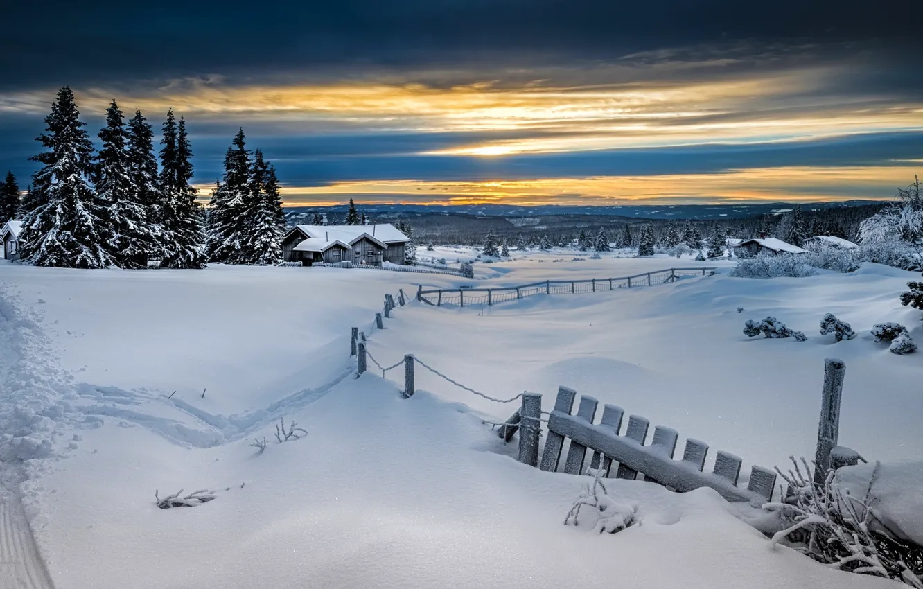 Photo wallpaper winter, forest, snow, the fence, Norway, Lillehammer, Lillehammer