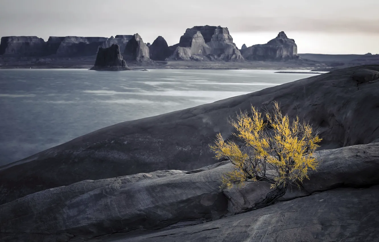 Photo wallpaper sea, nature, shore