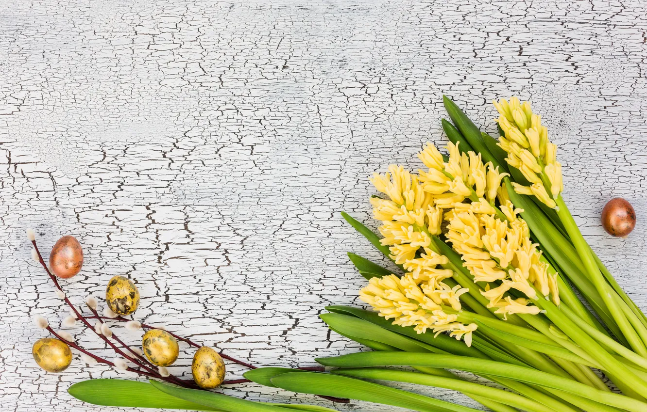 Photo wallpaper eggs, spring, Easter, Verba, hyacinths