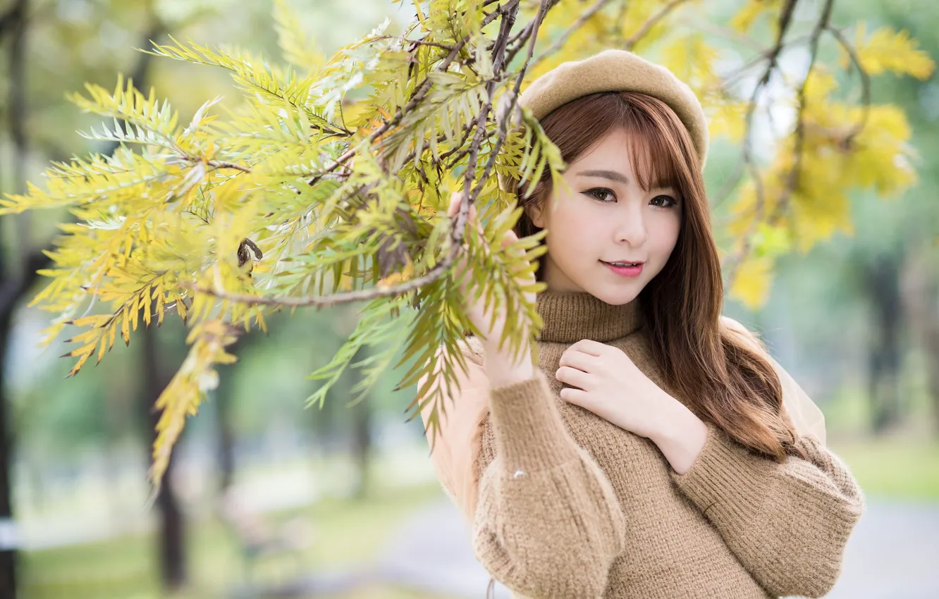 Photo wallpaper look, Asian, cutie, takes, sweater