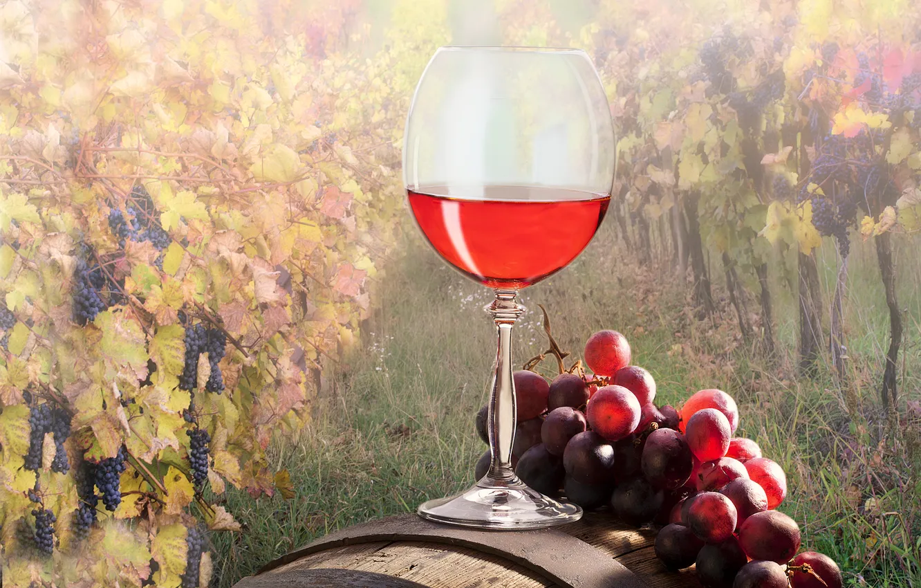 Photo wallpaper wine, glass, grapes, barrel