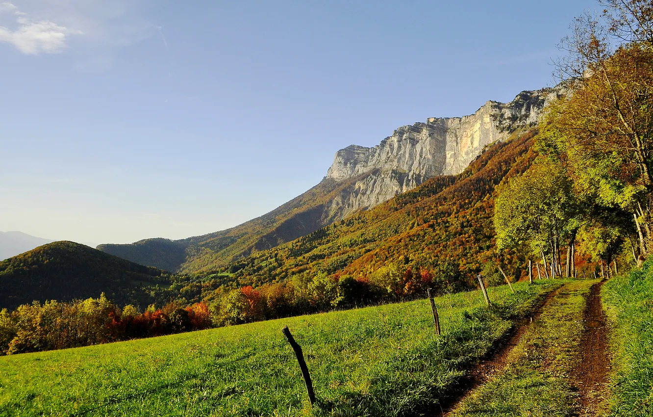 Photo wallpaper greens, grass, trees, mountains, the fence, track