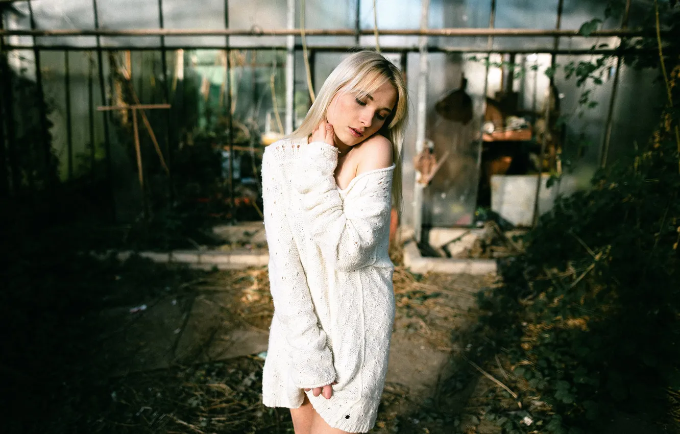 Photo wallpaper girl, greenhouse, sweater, let go