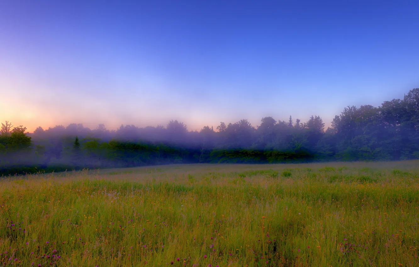 Photo wallpaper field, landscape, nature, fog