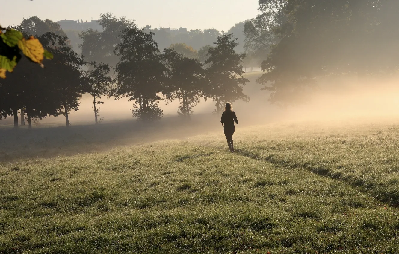Photo wallpaper field, fog, morning, walk