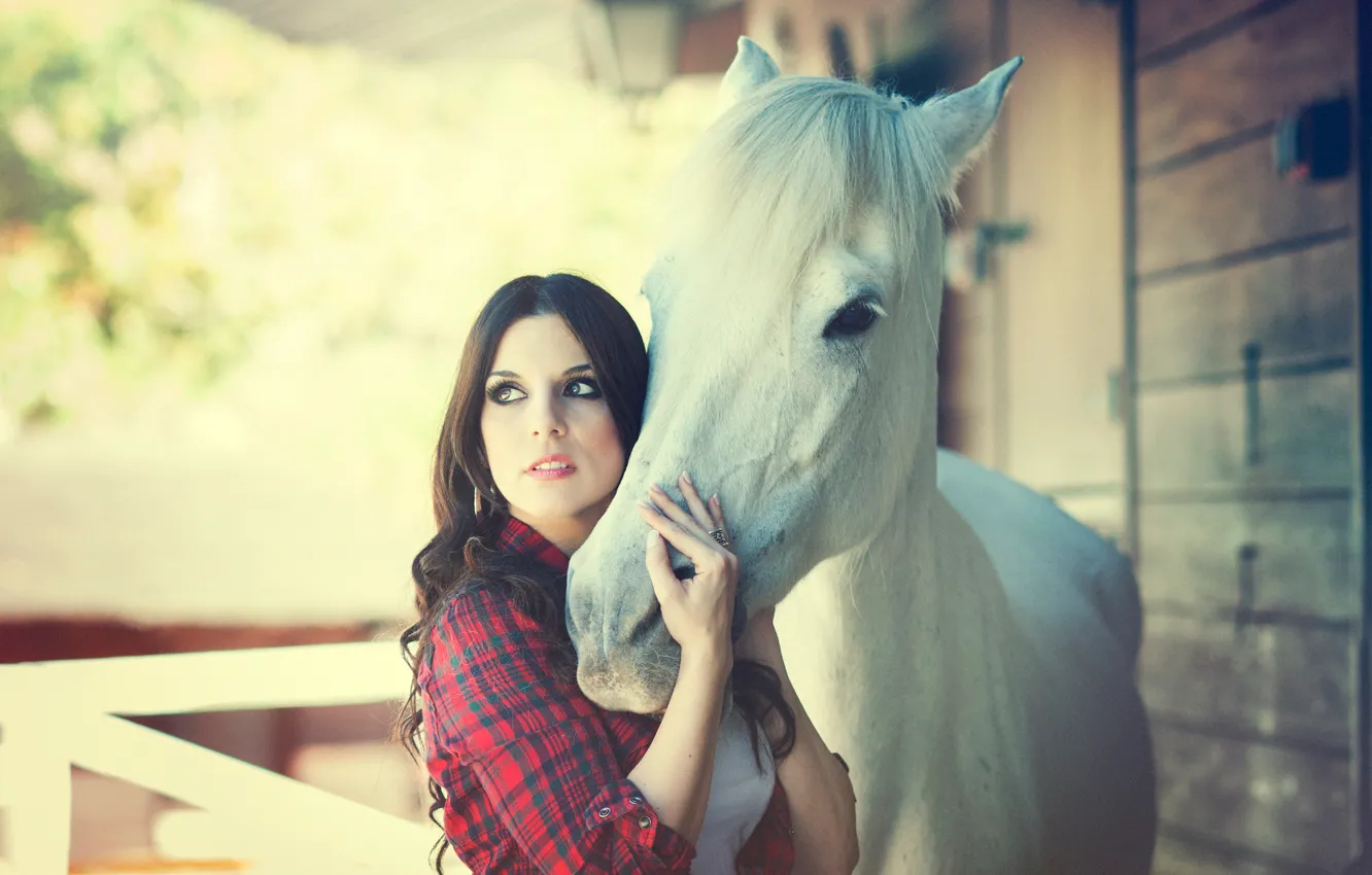 Photo wallpaper girl, horse, Cris Comino