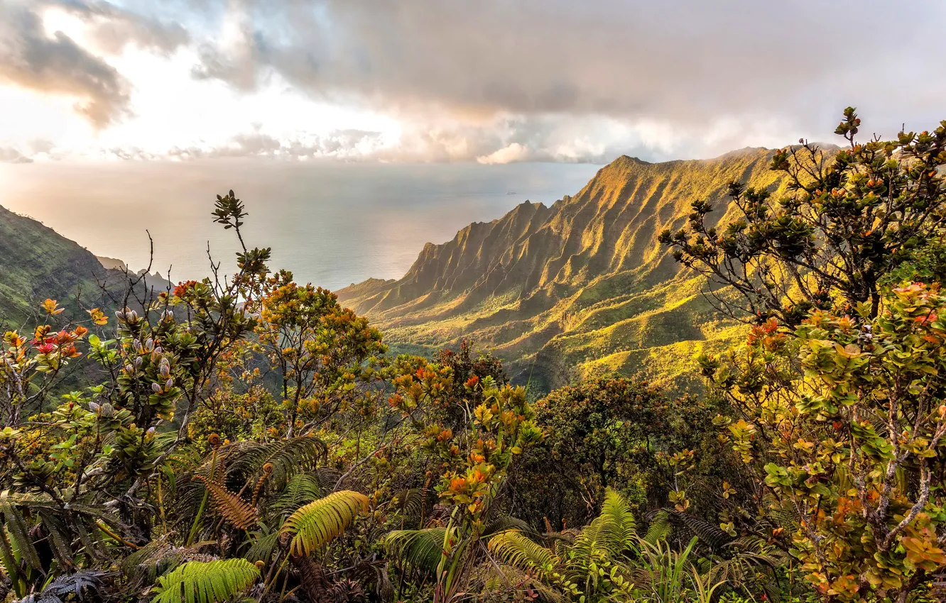 Photo wallpaper sea, clouds, mountains, coast, Hawaii, the bushes