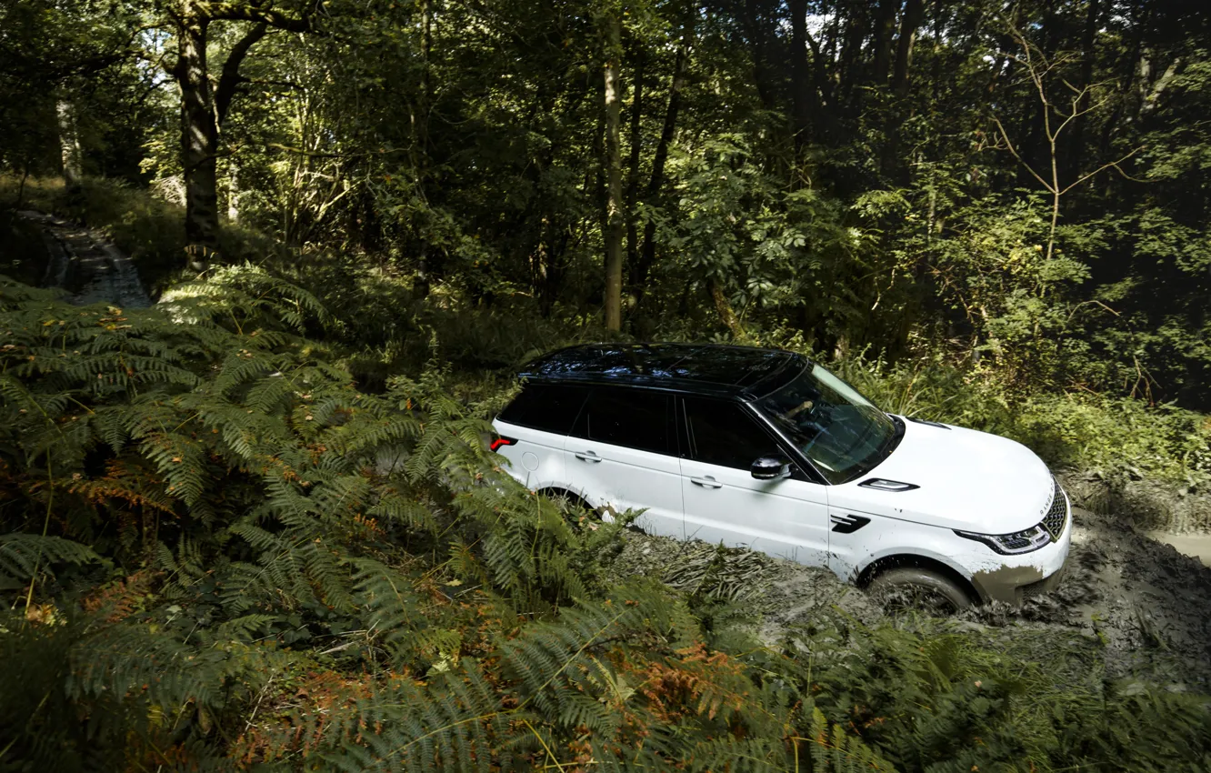Photo wallpaper road, forest, vegetation, dirt, Land Rover, black and white, Range Rover Sport P400e Plug-in Hybrid