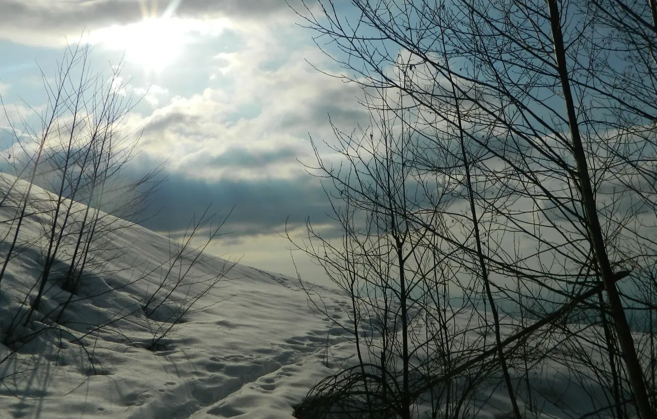 Photo wallpaper winter, the sky, clouds, snow, nature, frost, Nature, sky