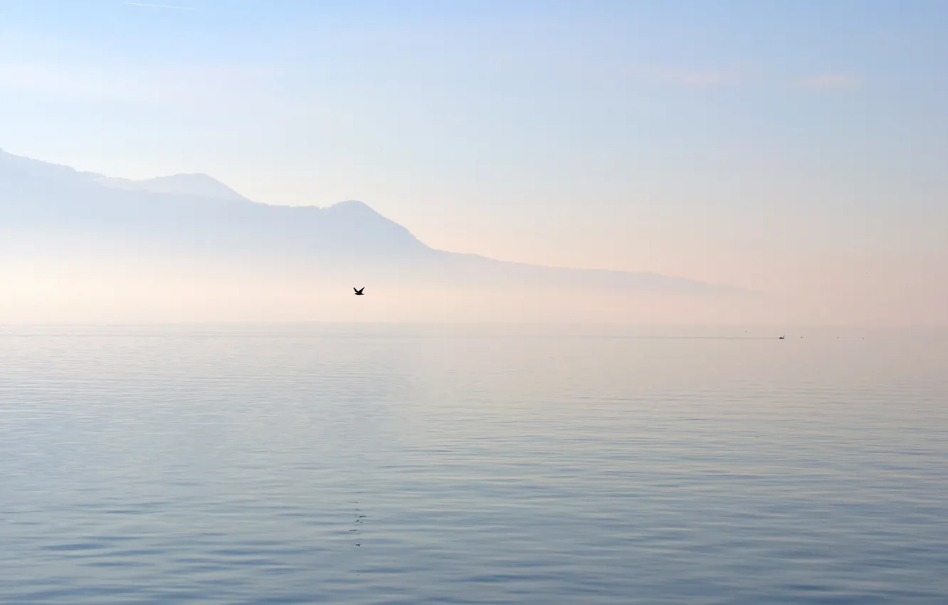 Photo wallpaper sea, fog, lake, hills, bird