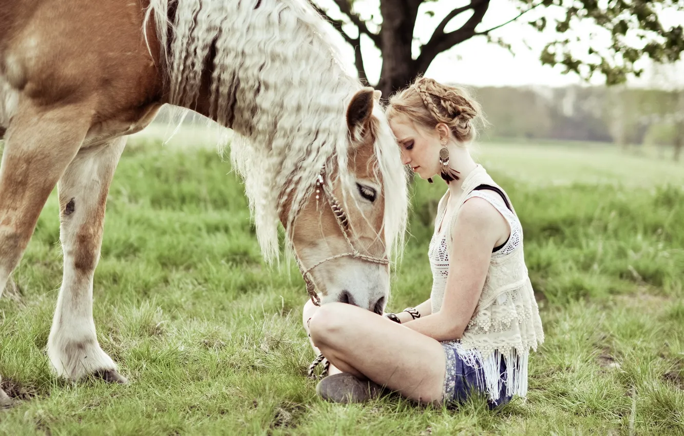 Photo wallpaper girl, mood, horse