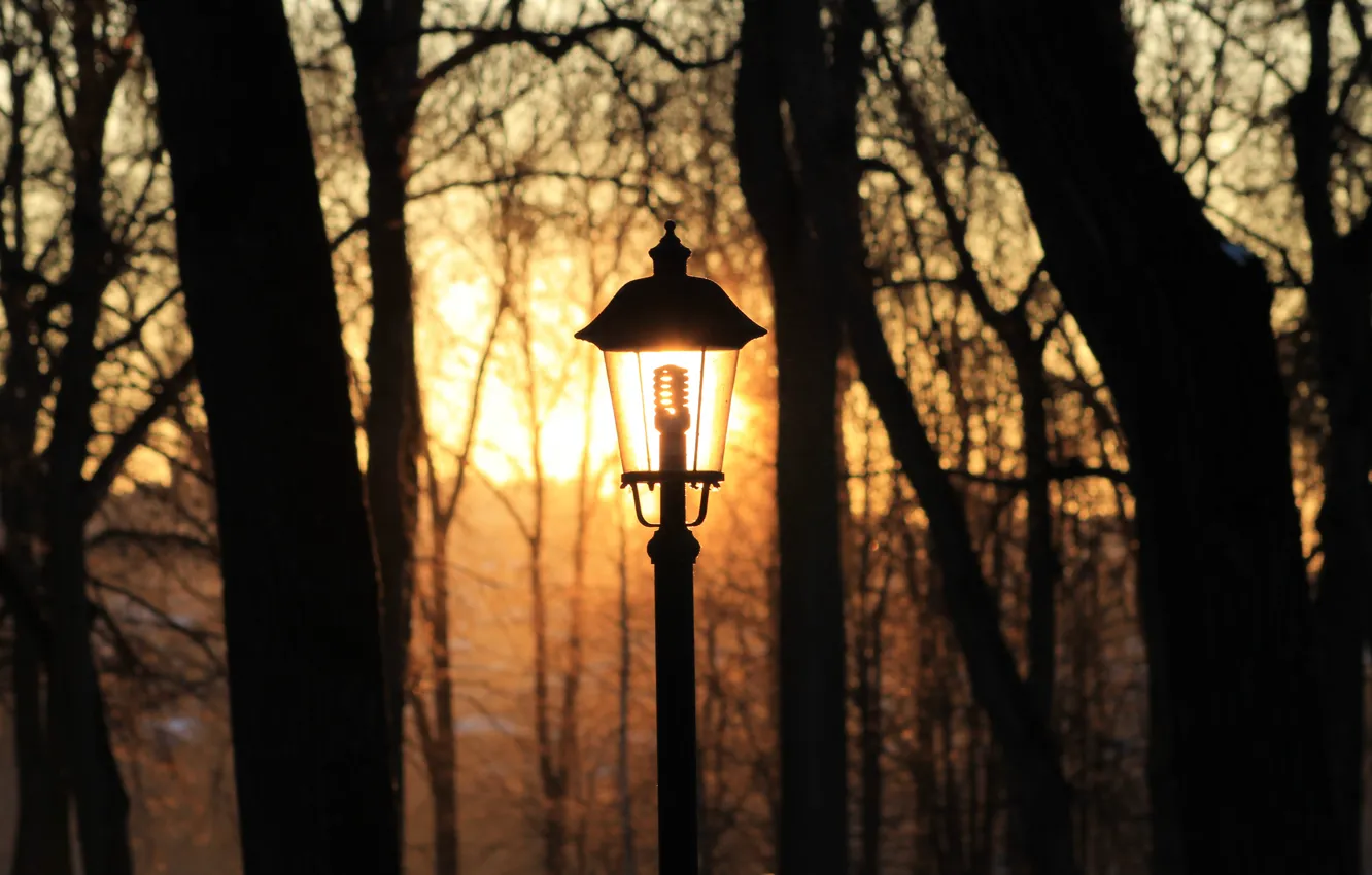 Photo wallpaper winter, light bulb, the sun, sunset, Park, lighting, lantern, Kaluga