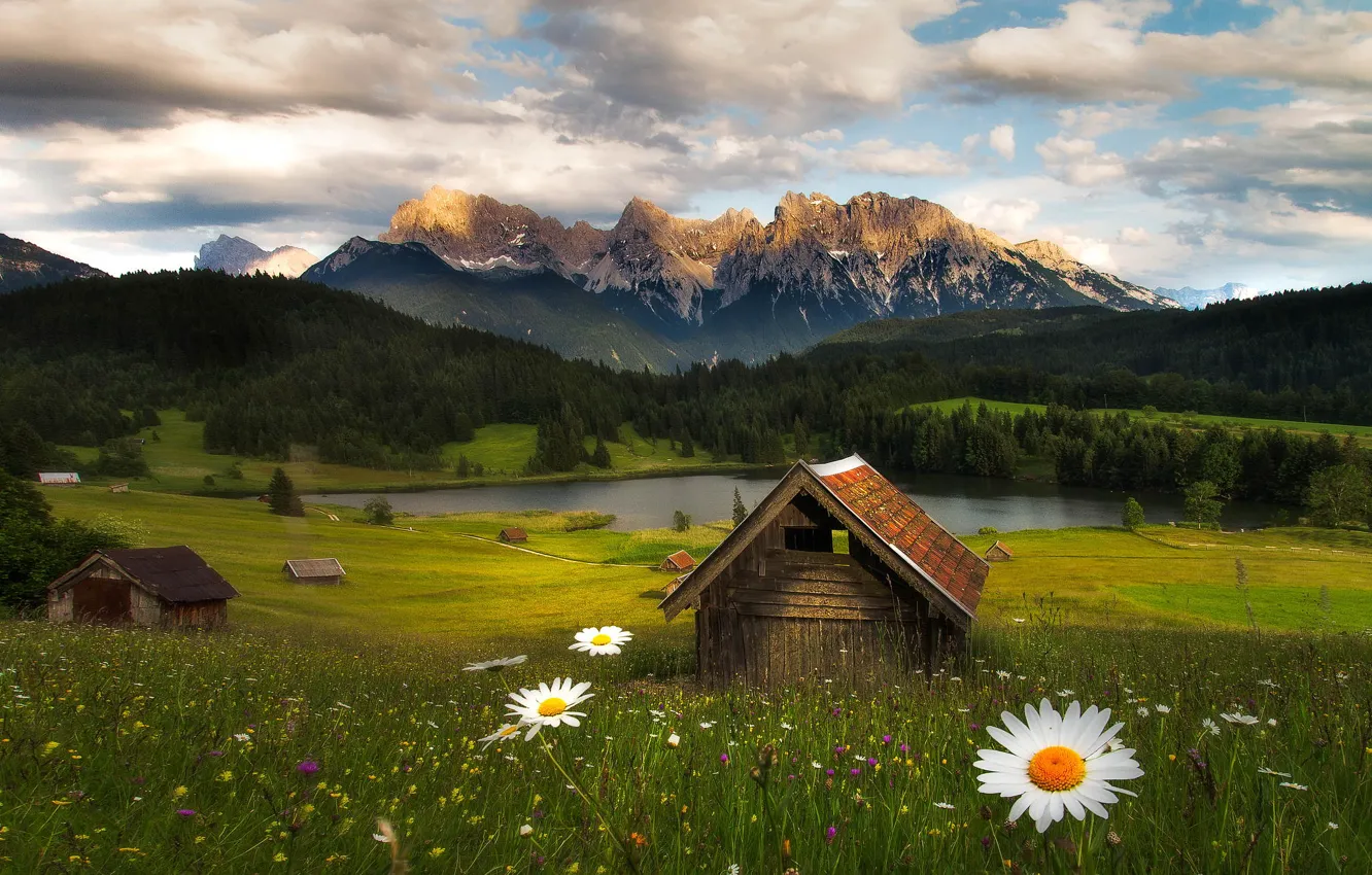 Photo wallpaper forest, flowers, mountains, nature, hut, Fabian Vogl