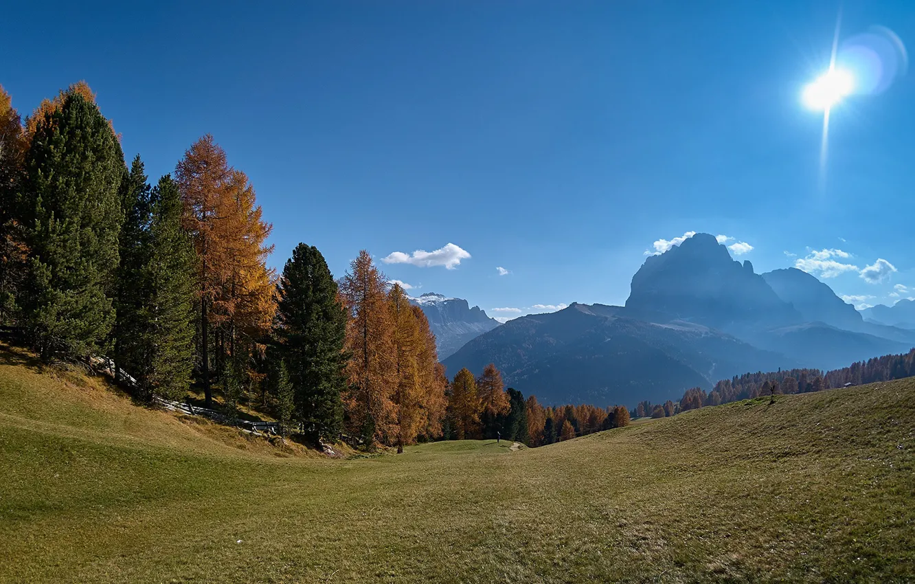 Photo wallpaper autumn, forest, the sky, the sun, trees, mountains, slope, Alps