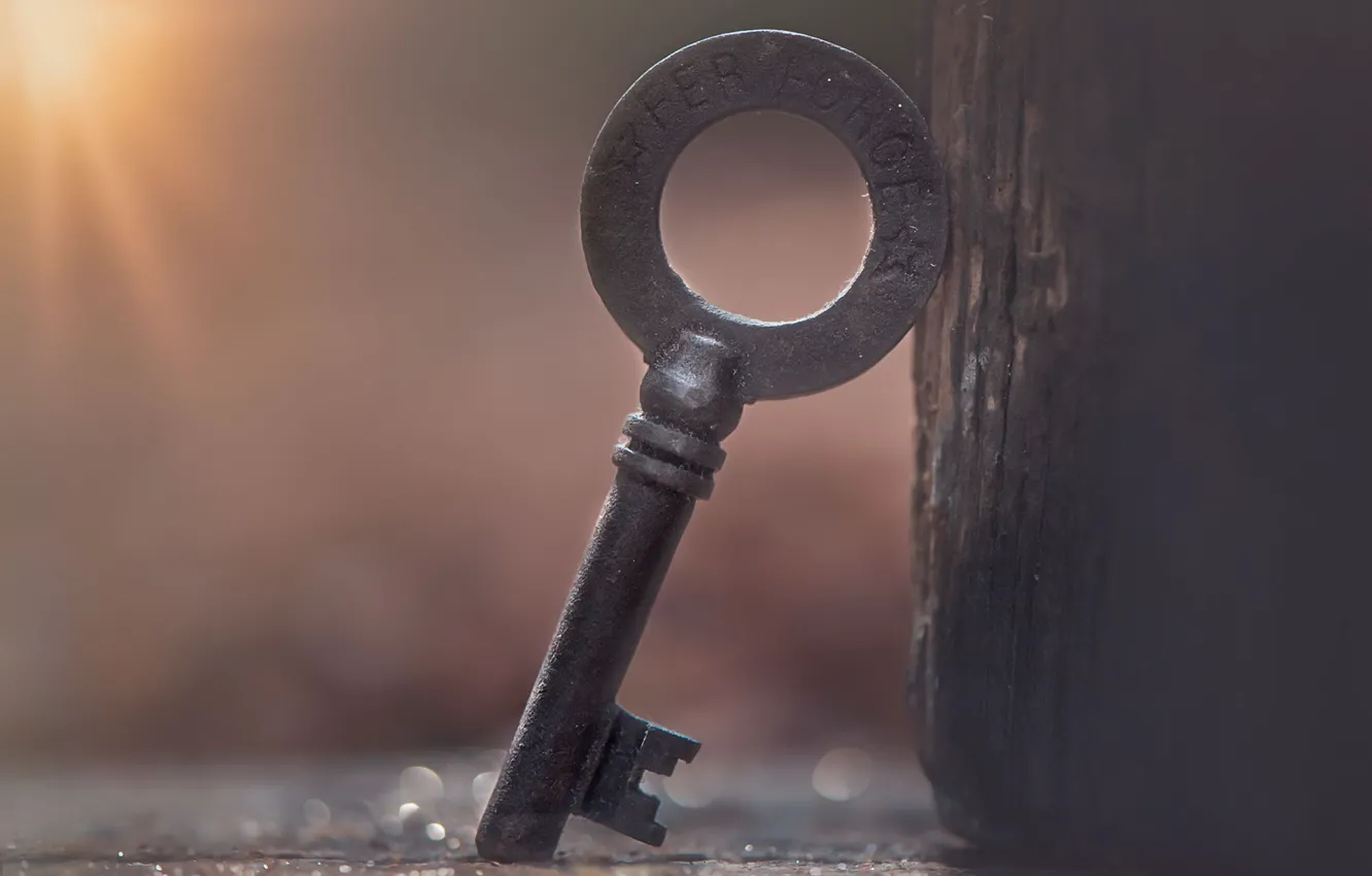 Photo wallpaper macro, background, key