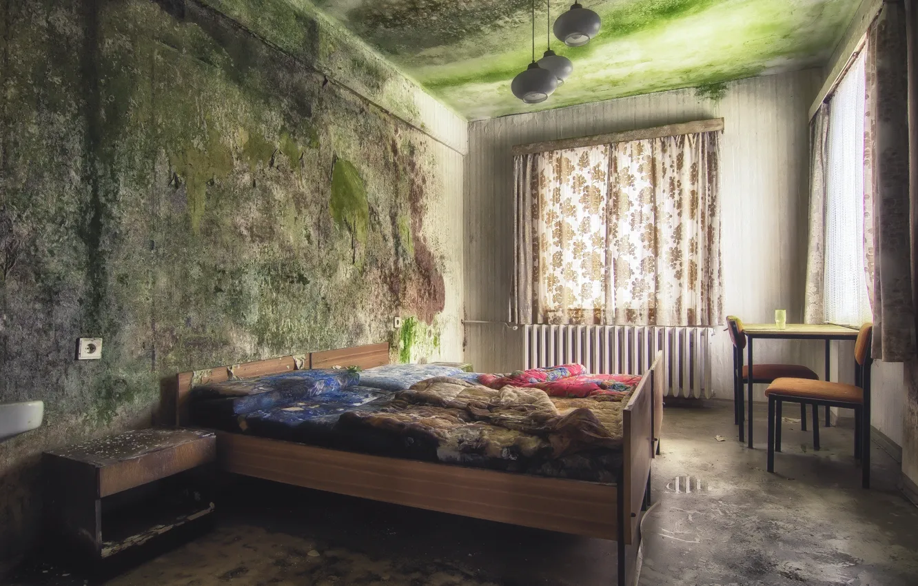 Photo wallpaper room, bed, window