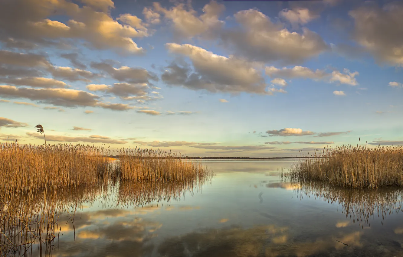 Photo wallpaper clouds, lake, the reeds, Nature, nature, clouds, lake