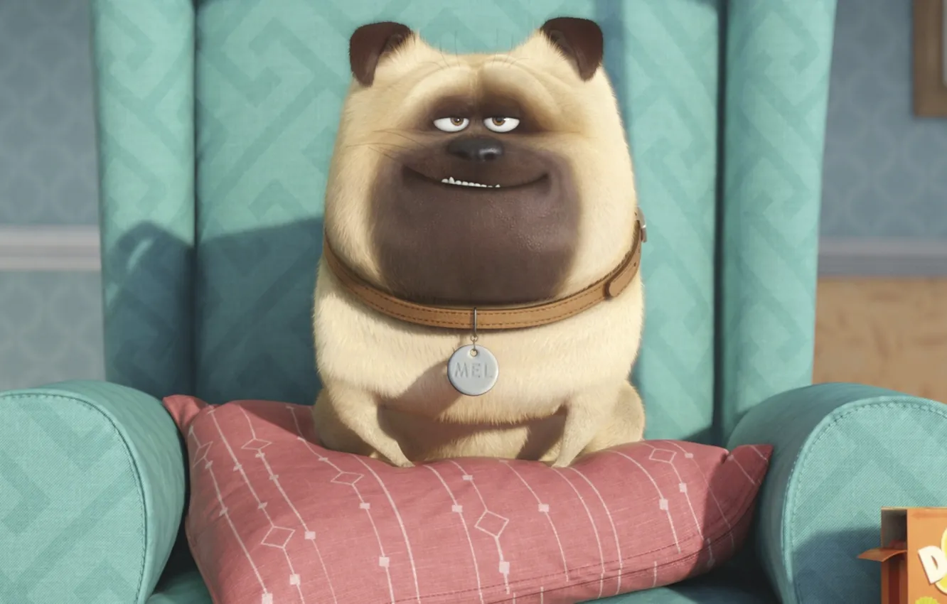 Photo wallpaper cinema, puppy, smile, dog, cartoon, Family, movie, animal