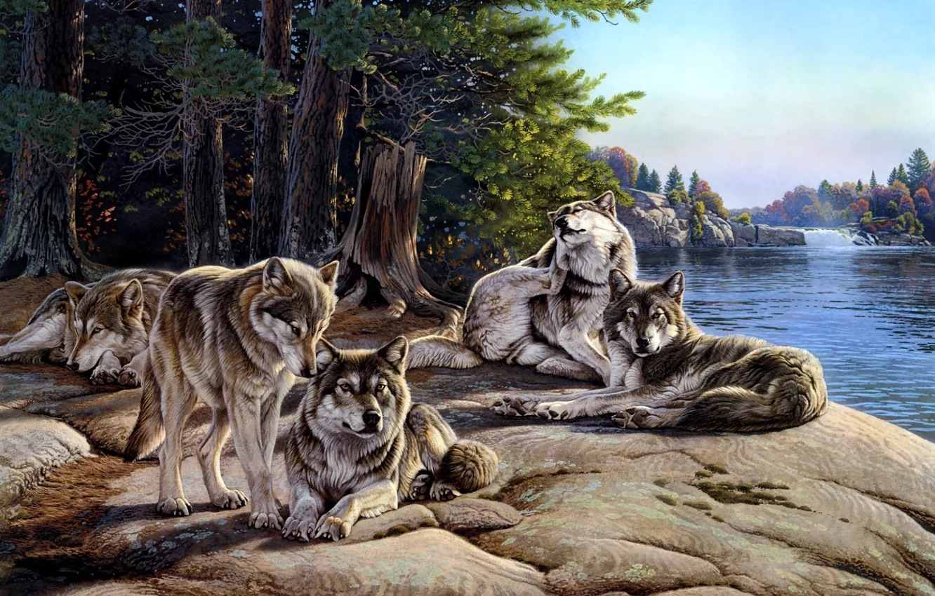 Photo wallpaper river, wolf, pack, painting, Al Agnew