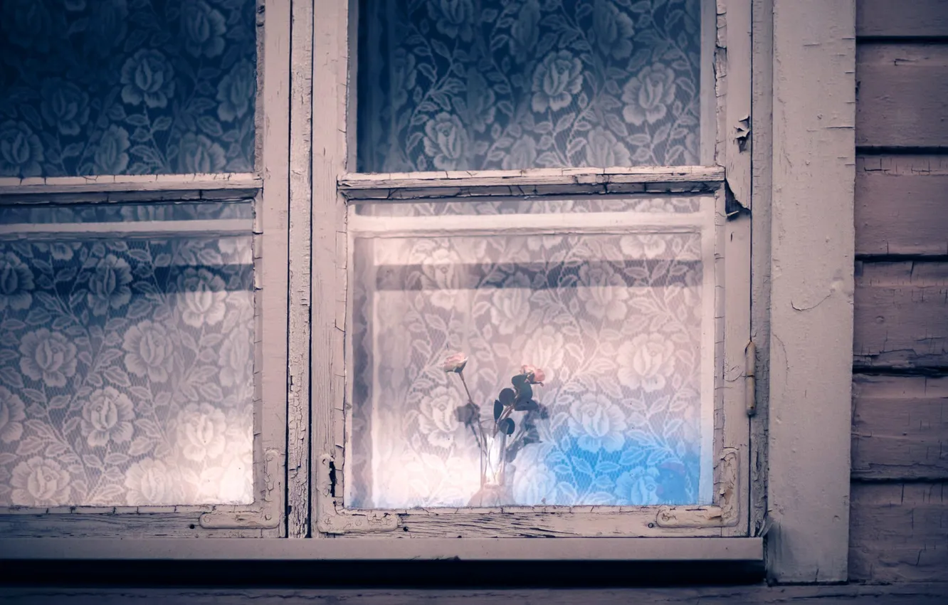 Photo wallpaper flowers, home, window